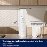 Electrolux Eco 600GPD Filter Replacement – Enjoy Pure, Refreshing Water Daily